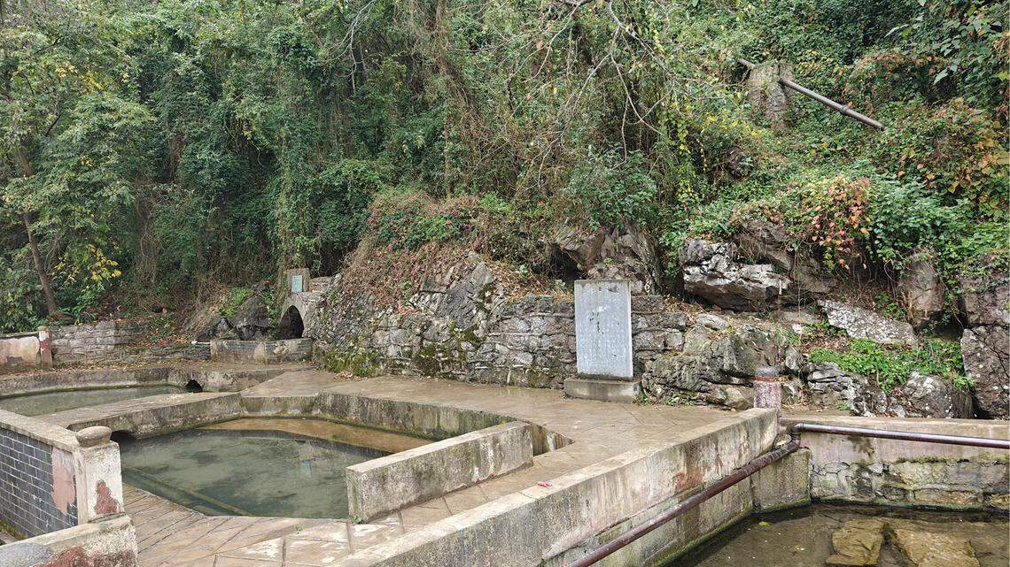 In caves in a south-central China village, a creature with large eyes shows evolution in action.