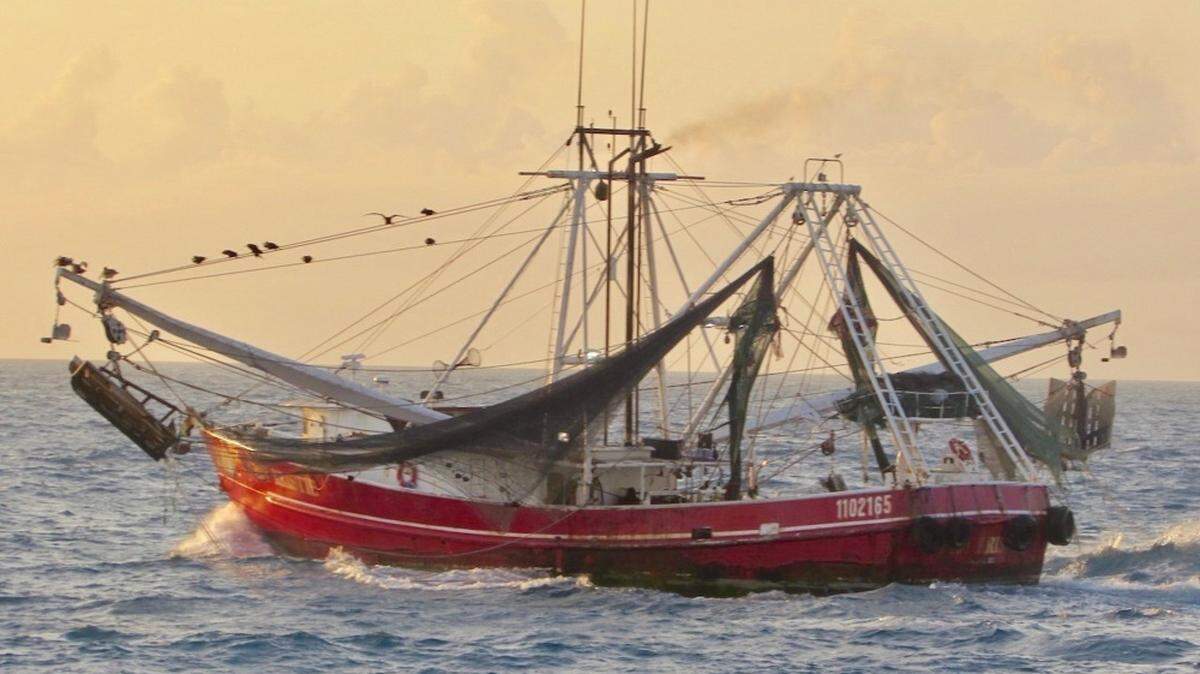 The 83-foot commercial fishing vessel, Lady Kristie, was stopped by the Coast Guard Feb. 21, 2019, near Tortugas Ecological Reserve, because it was in a protected area. Crews boarded the boat and found several violations including fishing inside an ecological reserve.