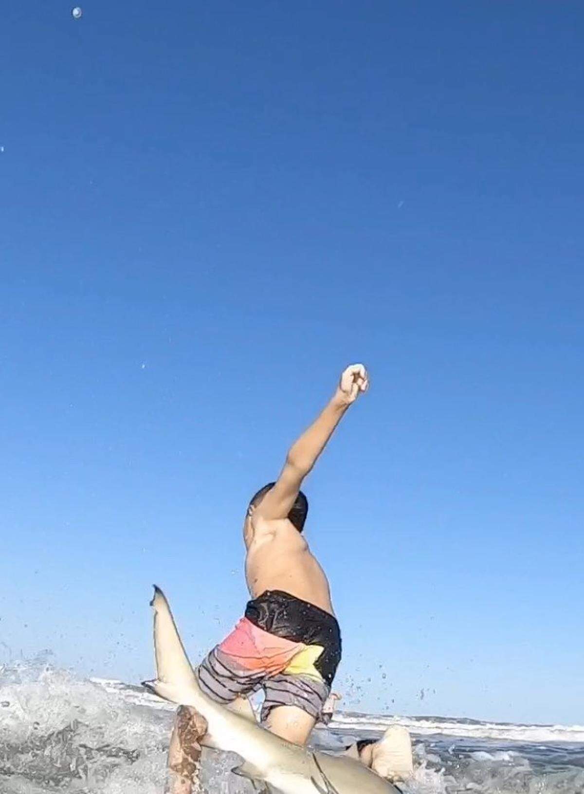 While taking a beach break over Thanksgiving weekend at New Smyrna Beach, Shaun Moore’s son, Chandler, got knocked off his board by a blacktip shark while surfing in low waters.