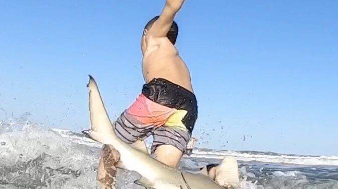 Fewer sharks attacked last year. Florida wasn’t so lucky, report says
