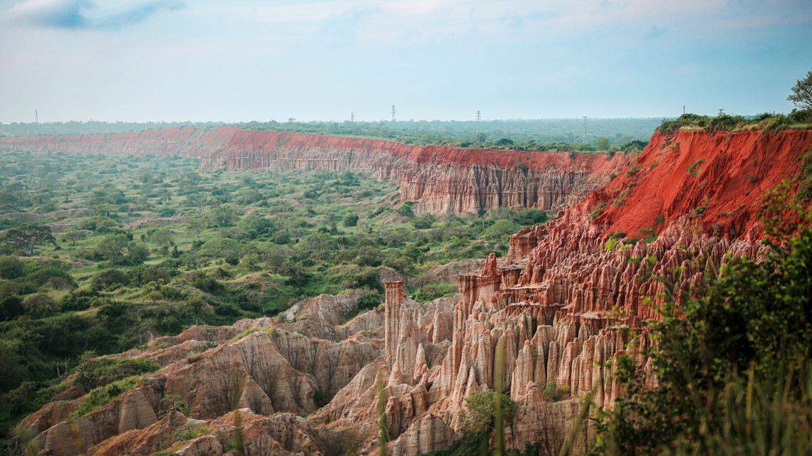 In a forested region of Angola where a cliff separates the landscape, a new species of butterfly was discovered.