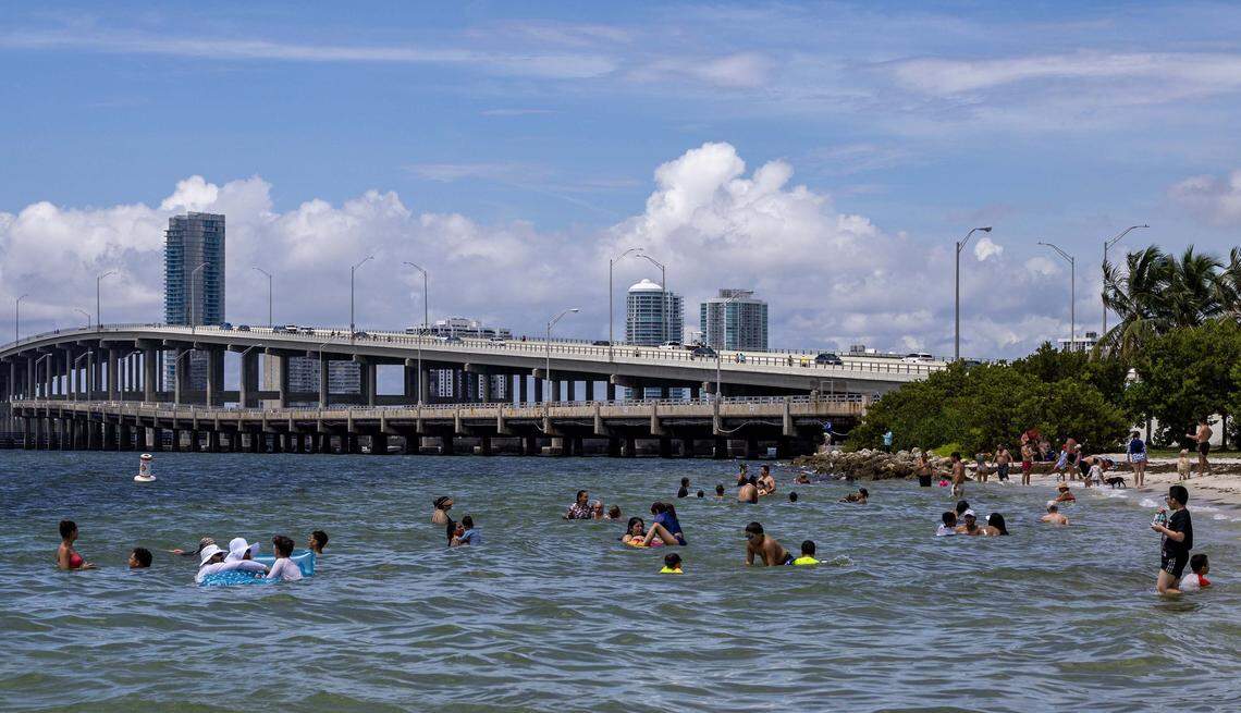 Beach goers and their dogs swim at the Dog Beach on Monday, September 1, 2025, in Key Biscayne, Fla.