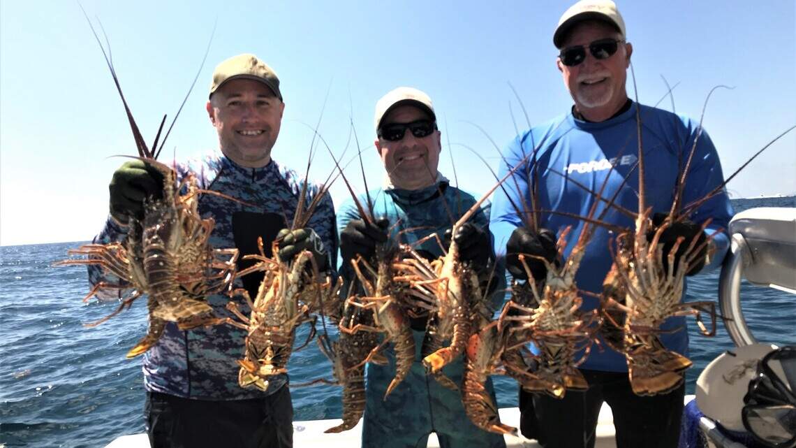 ‘Chiefy’ knows best when it comes to catching lobster during recent miniseason