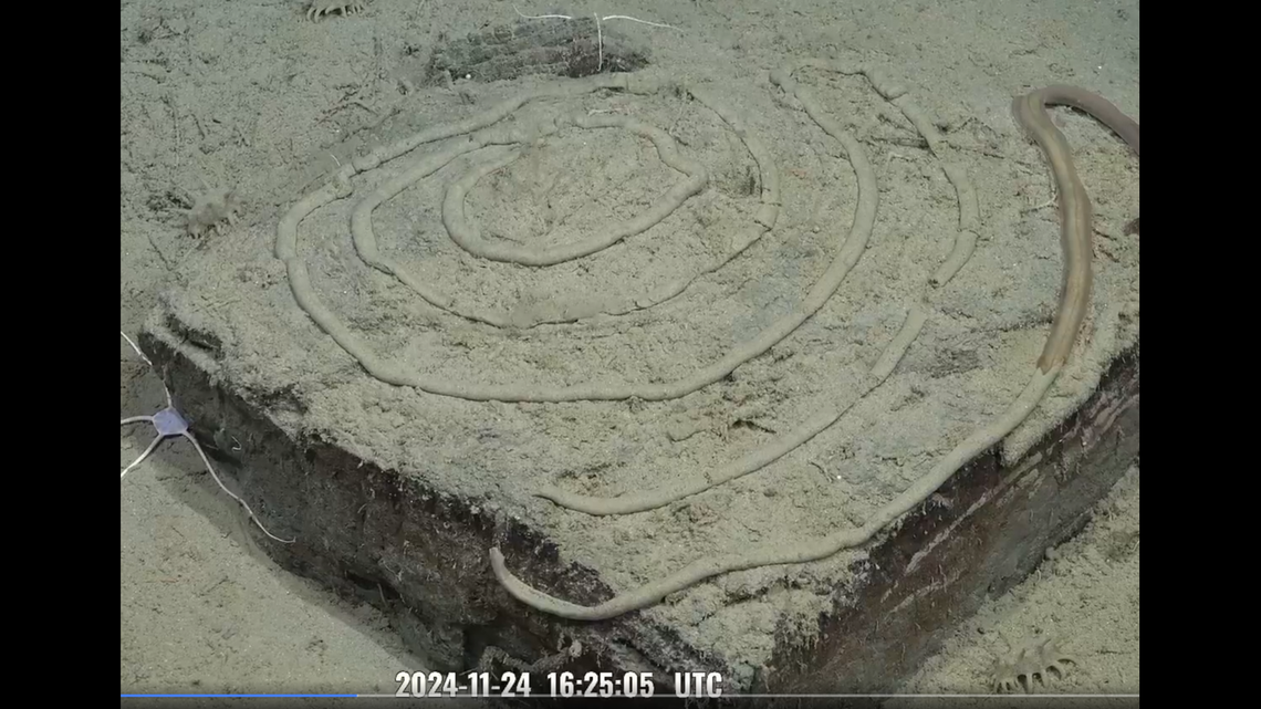 On Nov. 24, a team of deep sea explorers with Schmidt Ocean Institute found a “fantastic” spiral drawn on a square rock at a depth of 11,000 feet, video shows.