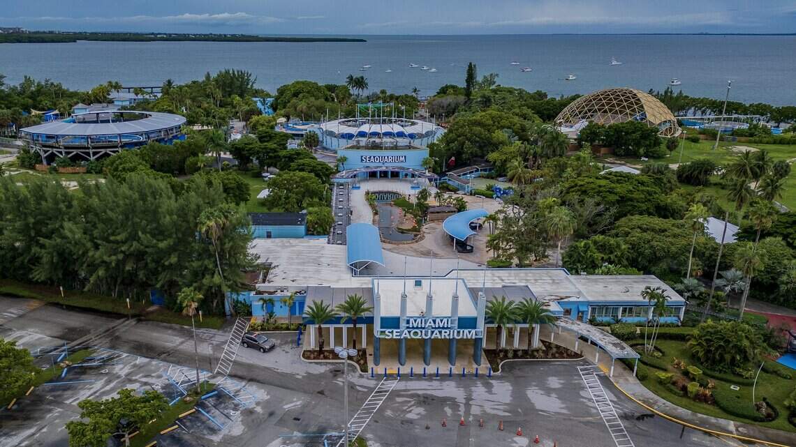 Out with the Seaquarium, in with mega yachts? New plan for old marine park