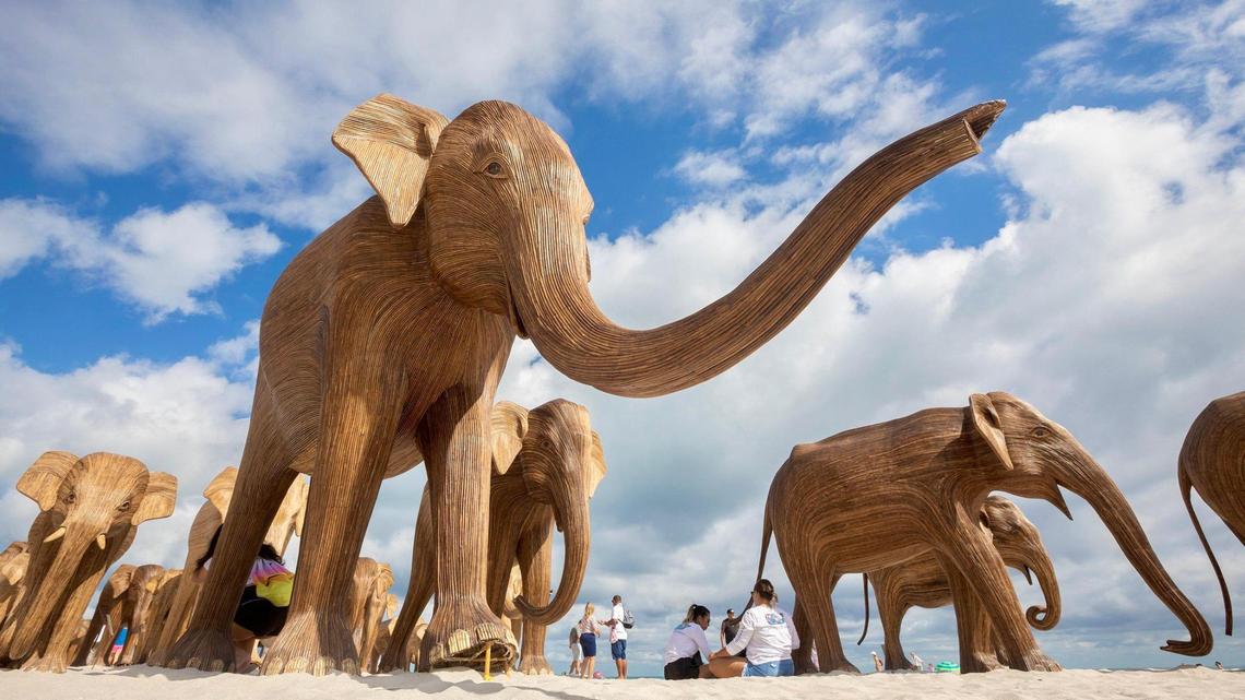 The Great Elephant Migration, a striking installation featuring life-sized elephants crafted from lantana, is on display in Miami Beach. These magnificent sculptures were created by The Real Elephant Collective, a collaborative effort involving 200 indigenous artisans from the Bettakurumba, Paniya, Kattunayakan, and Soliga communities of India’s Nilgiri Biosphere Reserve in Tamil Nadu. This installation is part of a series of public art exhibitions appearing across Miami in the lead-up to Miami Art Week.