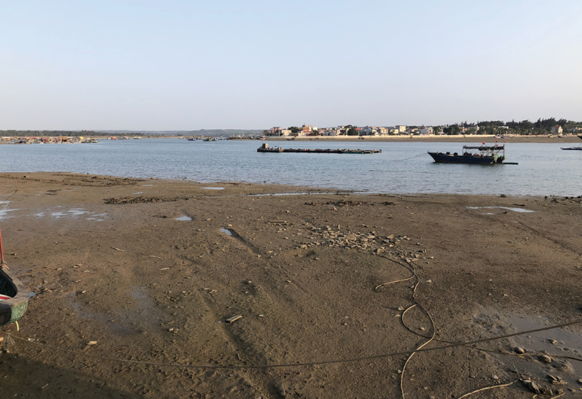 In the muddy sediment of an inlet in China, a creature wiggles through the sand and filters food through its gills.