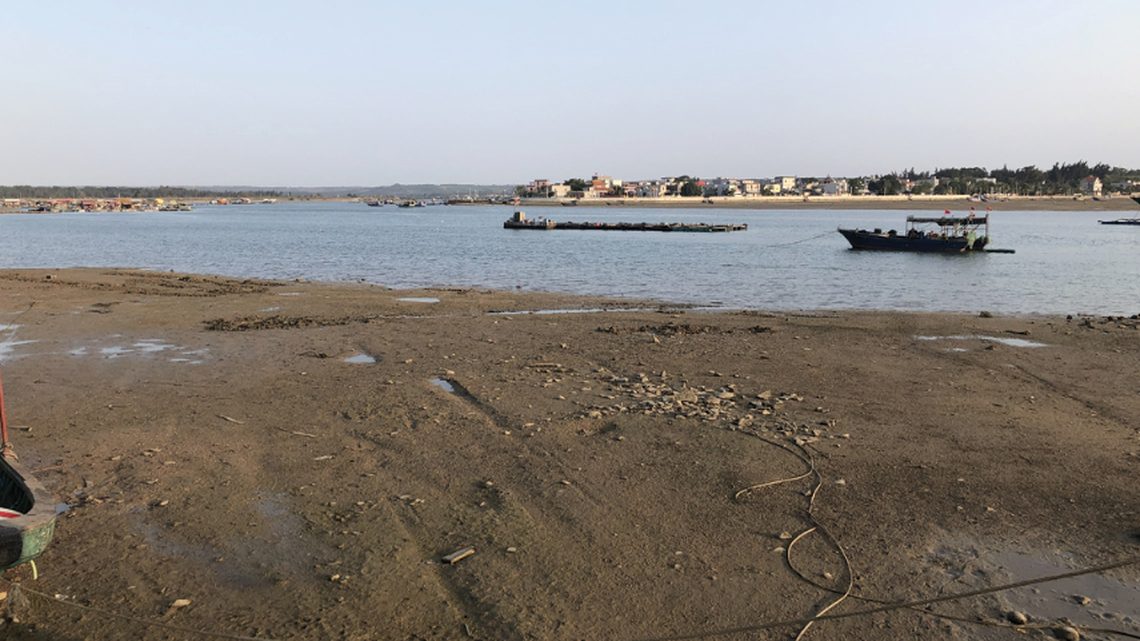 In the muddy sediment of an inlet in China, a creature wiggles through the sand and filters food through its gills.
