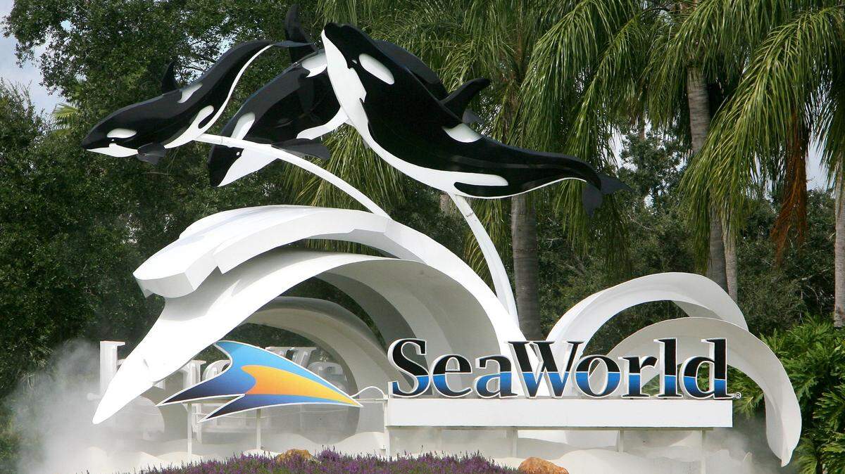 SeaWorld Orlando is offering unlimited free visits for year to Florida teachers. Teachers only need to provide their Department of Education number.