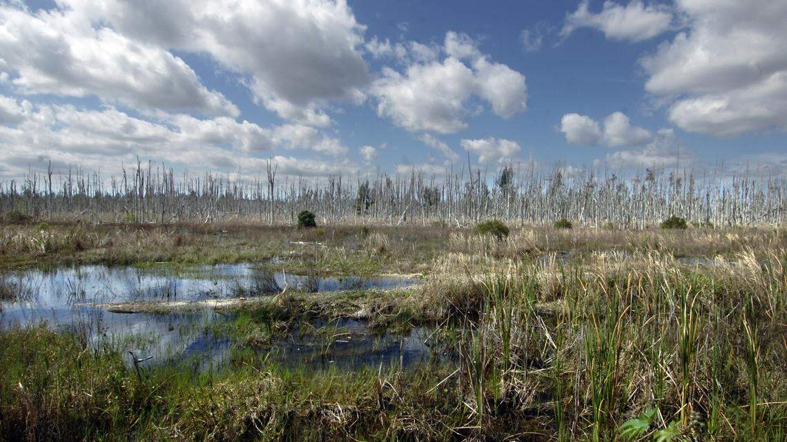 Miami-Dade County had plans to extend State Road 836 13 miles across wetlands, shown here at the corner of Southwest 157th Avenue and the Tamiami Trail in 2012.