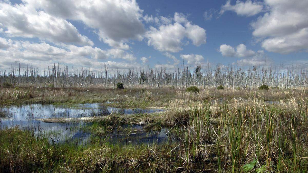 Miami-Dade County had plans to extend State Road 836 13 miles across wetlands, shown here at the corner of Southwest 157th Avenue and the Tamiami Trail in 2012.