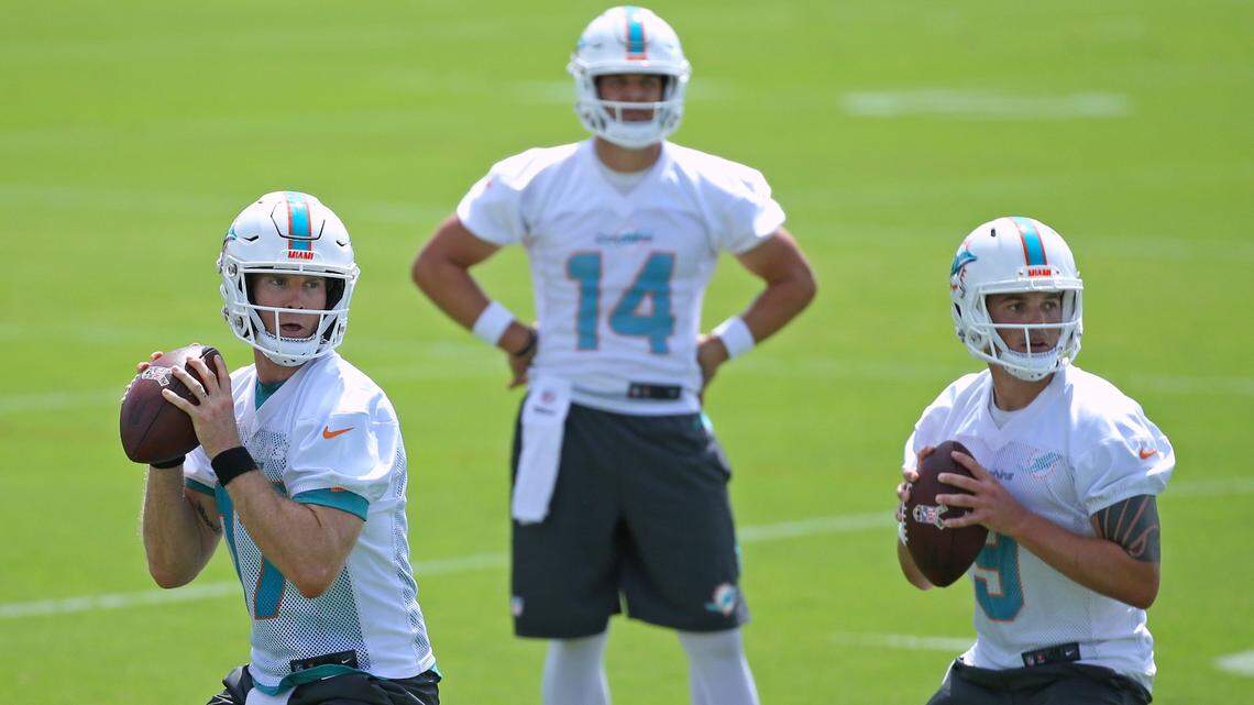 Quarterbacks Ryan Tannehill (17), David  Fales (9) and Bryce Petty (14) warm up during Tuesday's Dolphins OTA practice.