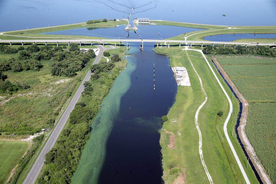 Algae piles up against the shore of the St. Lucie Canal, which connects with Lake Okeechobee’s eastern shore, July 11, 2018. An algae bloom has residents and government officials concerned, particularly after the 2016 algae bloom that impacted the environment and economies in the region.