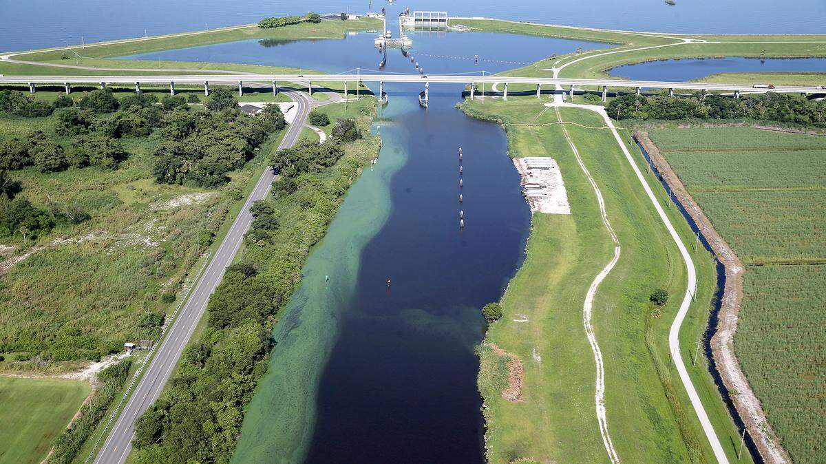 Las algas se amontonan a la orilla del canal St. Lucie, que conecta con el lago Okeechobee, en una foto el 11 de julio de 2018.