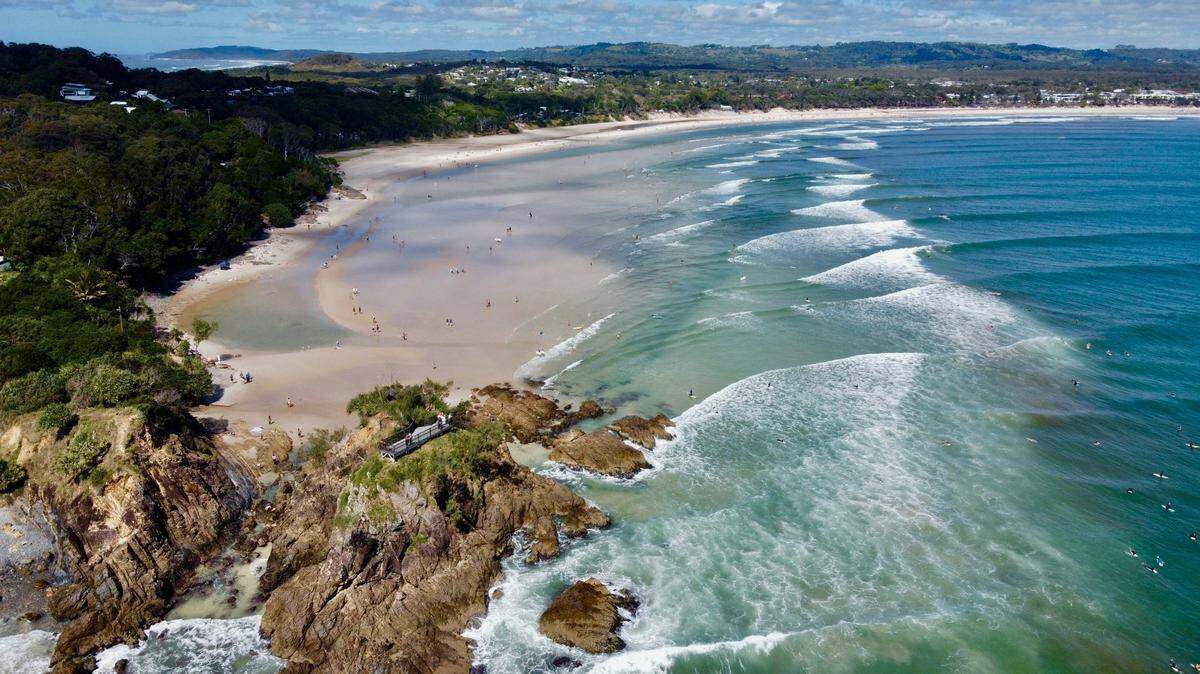 On the beaches of New South Wales, Australia, a small creature is making a record-breaking comeback.