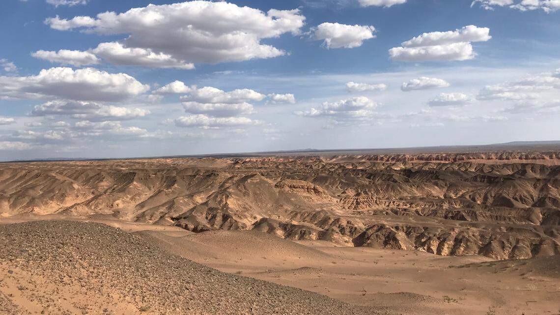 In the barren landscape of the Gobi Desert in Mongolia, a new species was discovered.