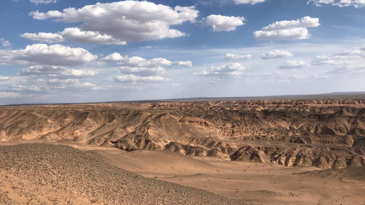 In the barren landscape of the Gobi Desert in Mongolia, a new species was discovered.