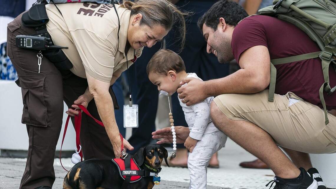 Not just search and rescue: Israeli-backed efforts bring trauma therapy to Surfside