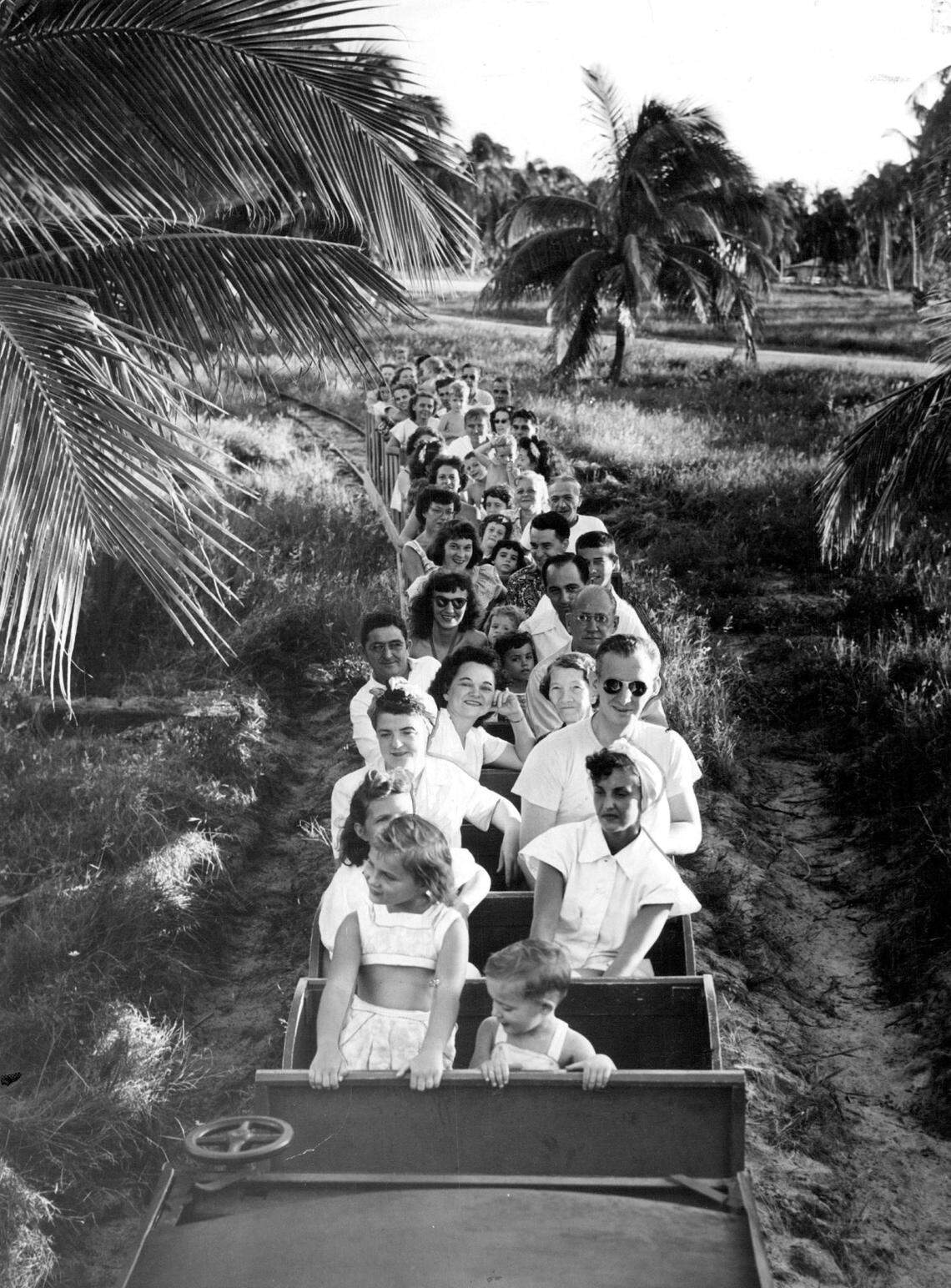 The mini train at Crandon Park Zoo