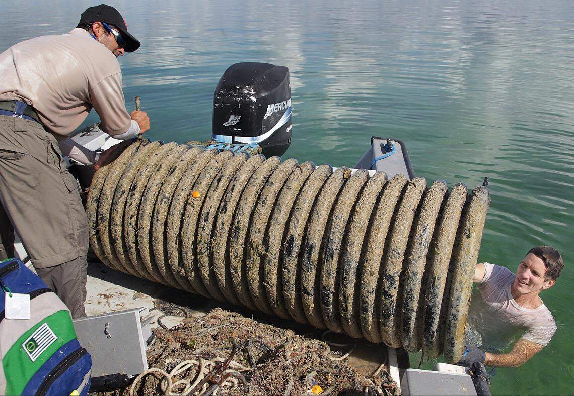 Biologist Felix Alvarez, left, and Miami-Dade environmental resources project supervisor, John Ricisak, remove a casita from Biscayne Bay in 2016. The lobster traps and other debris can damage seagrass and other marine life.
