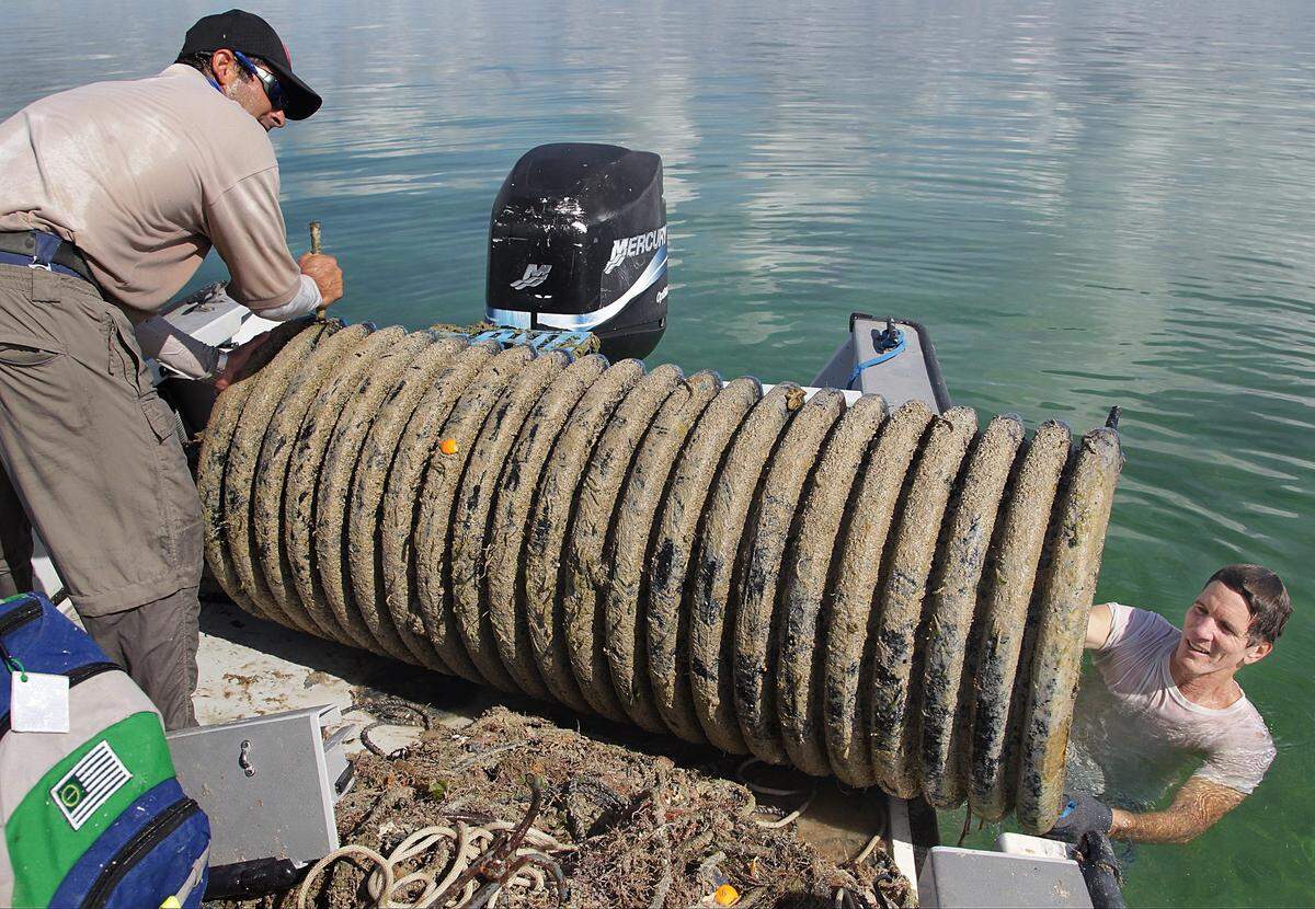 Biologist Felix Alvarez, left, and Miami-Dade environmental resources project supervisor, John Ricisak, remove a casita from Biscayne Bay in 2016. The lobster traps and other debris can damage seagrass and other marine life.