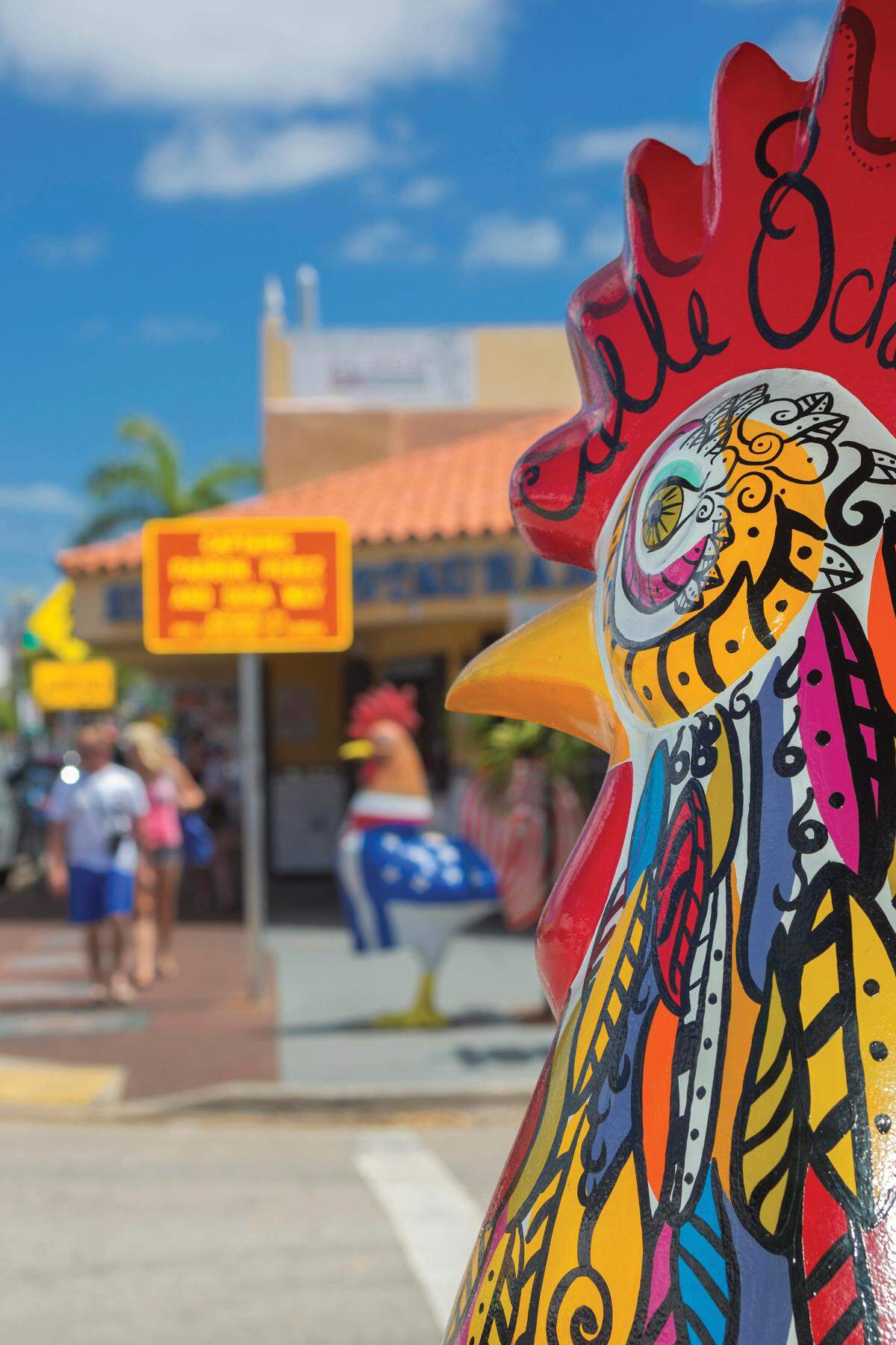 Fiberglass roosters, like this one, adorn the streets along Calle Ocho, paying tribute to an animal cherished in several Caribbean, Latin American and European countries. Pet roosters can be heard crowing in pockets of Little Havana.