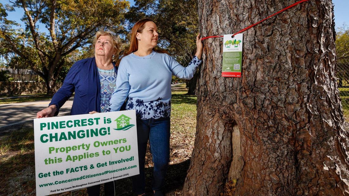 Pinecrest touts its trees. But residents battle mayor over zoning changes