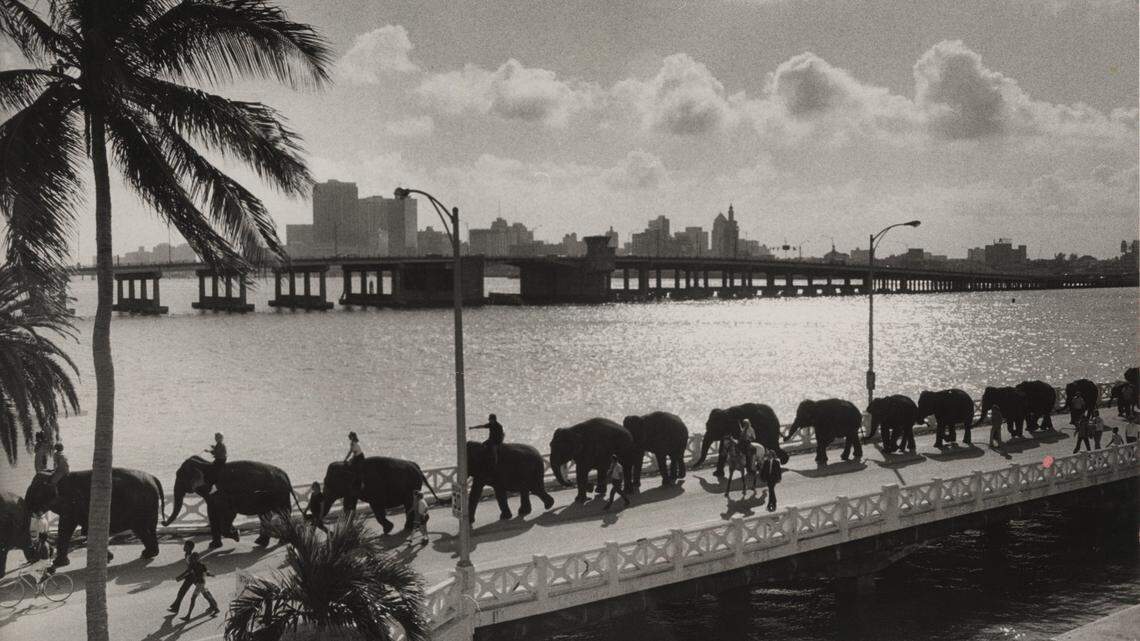 Are those elephants on the causeway? Take a look at how we used to cross Biscayne Bay