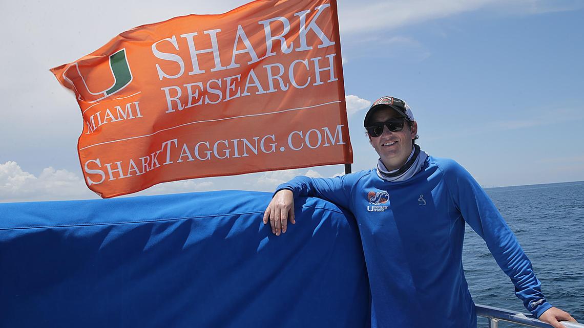Shark Week is here — and this University of Miami expert plays a big part