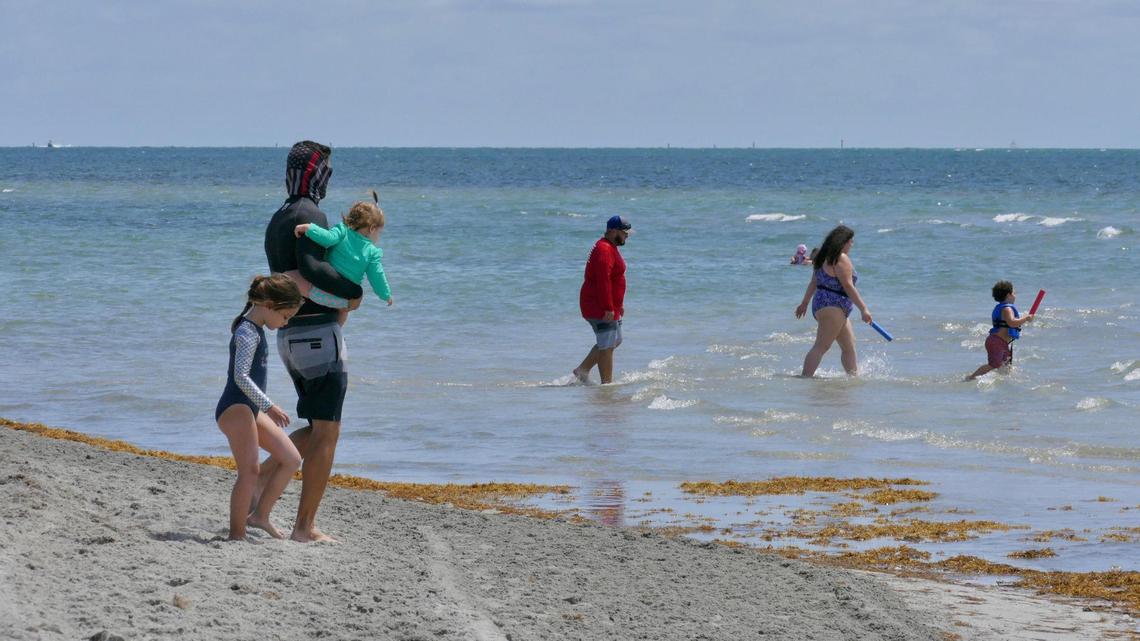 People hit the beach at Crandon Park’s southern beach on the first Saturday the park and beach opened following the COVID-19 shutdown.