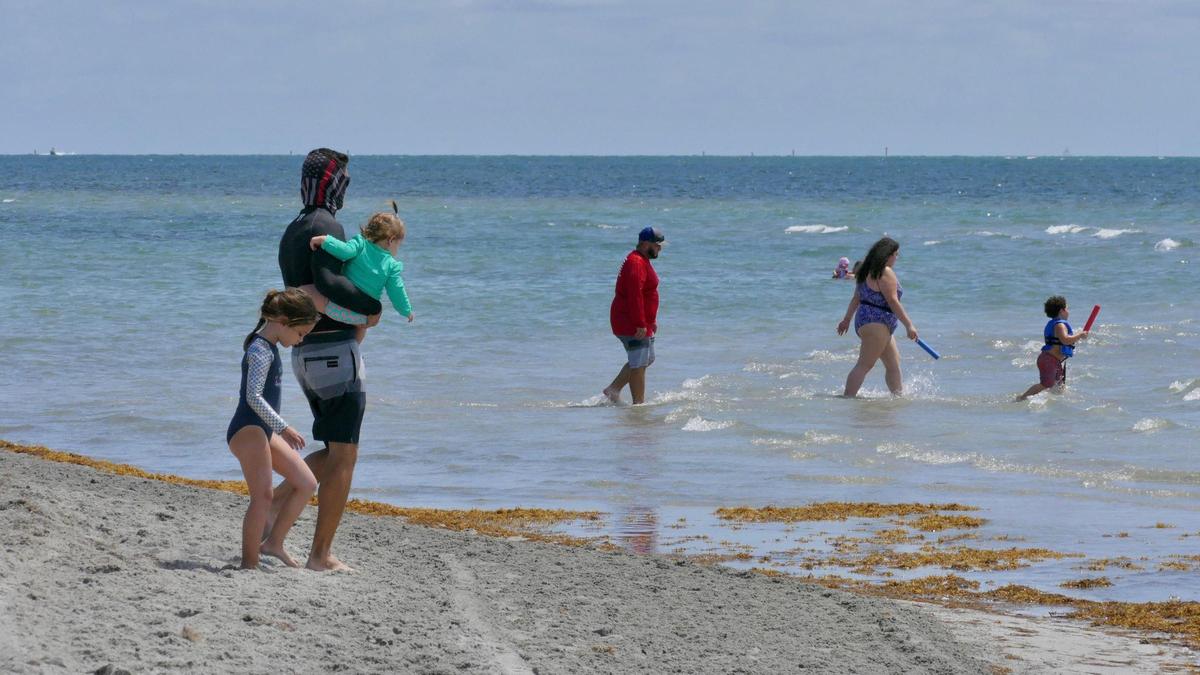People hit the beach at Crandon Park’s southern beach on the first Saturday the park and beach opened following the COVID-19 shutdown.