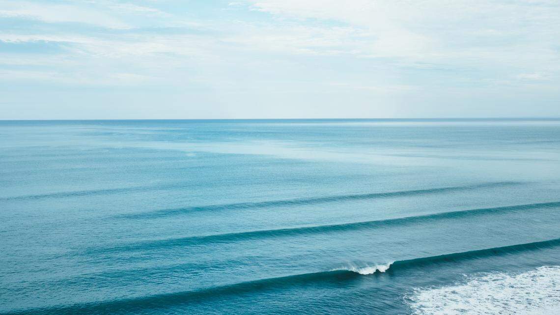 Boaters watched killer whales hunt and kill a minke whale in Monterey Bay, California.