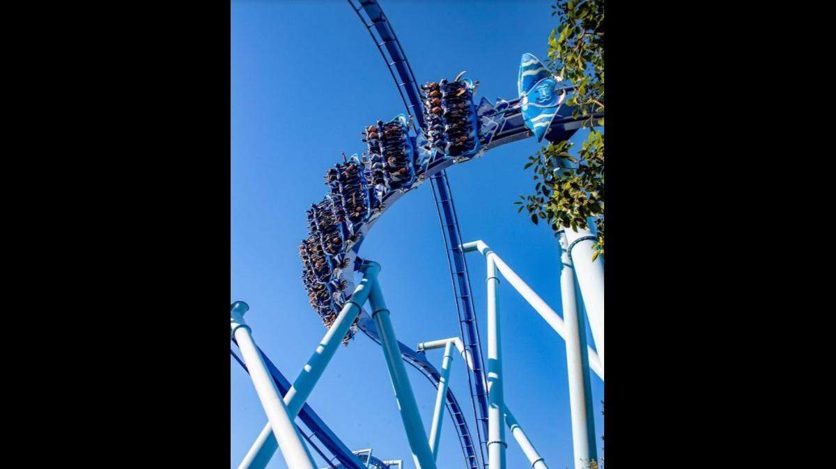 Sea World in Florida.