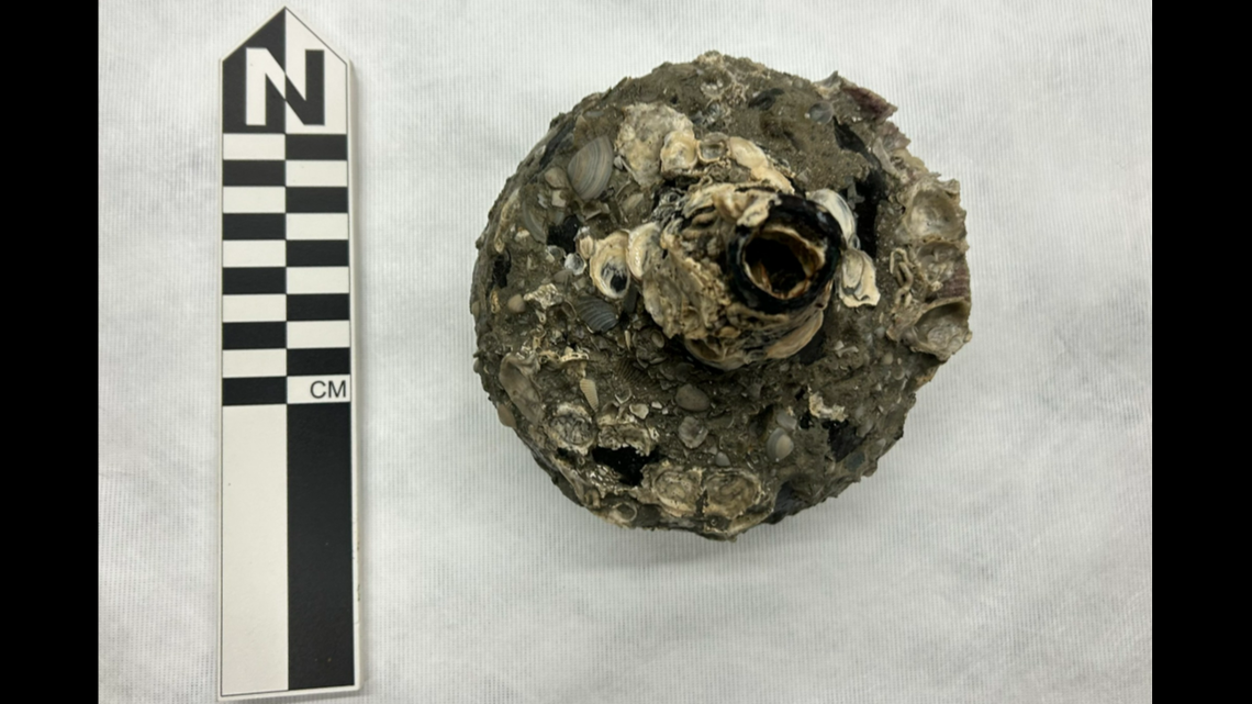 This is what the “onion bottles” looked like when pulled off a mystery shipwreck along Indian River County, Florida, the Florida Division of Historical Resources reports.
