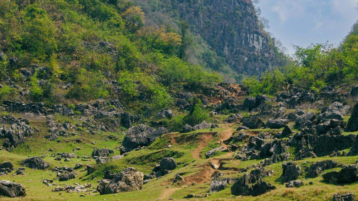 Under the mountains of south-central China, a network of underground rivers and caves holds unknown species.