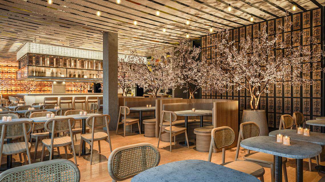 Cherry blossom trees add ambiance to Paperfish Sushi in Miami Beach.