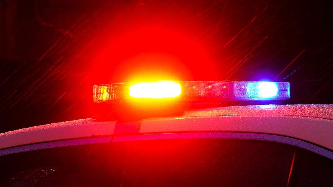 Human remains of a Massachusetts man who went missing seven years ago were identified after a dog walker discovered bones in the woods, Essex officials say.