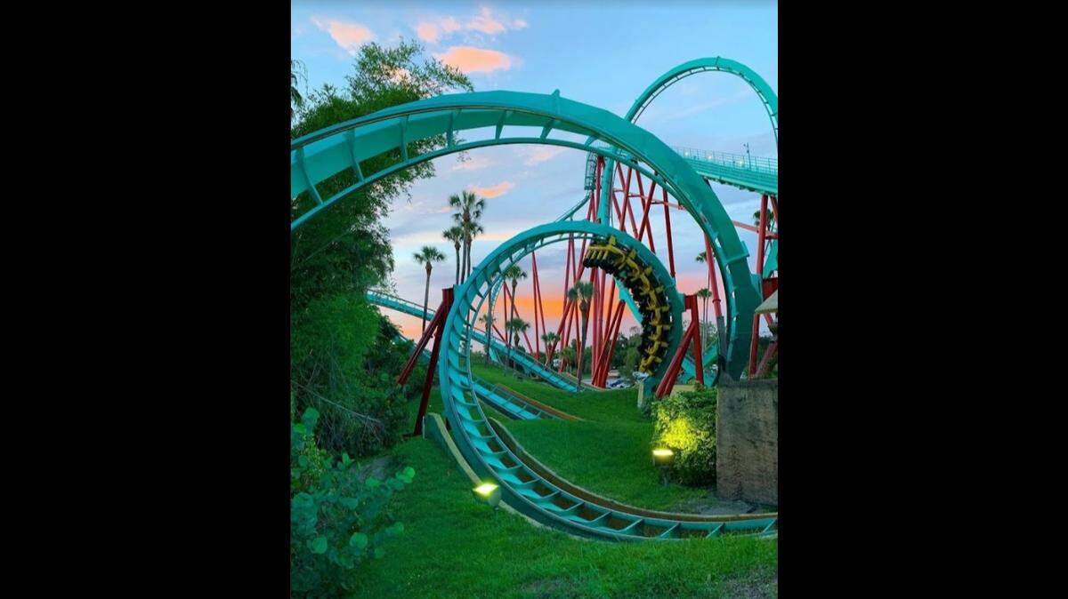 Busch Gardens in Florida.