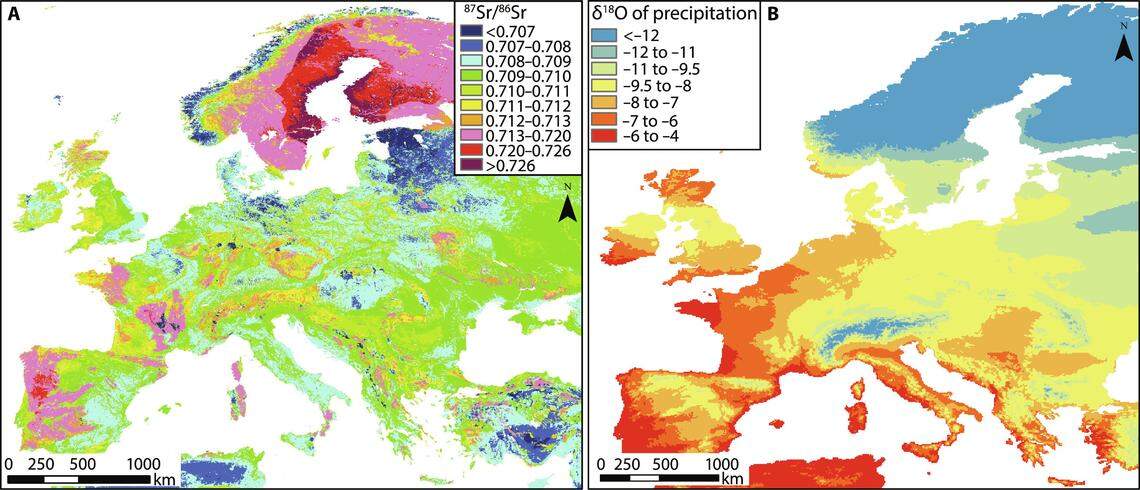 Isotopes from horse teeth showed they came from around Scandinavia and Europe, and very few were born and raised in England.