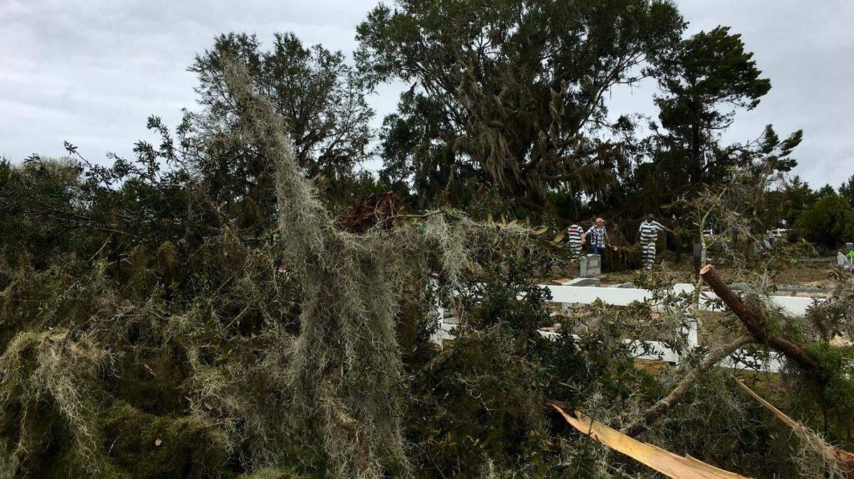 Inmate work crews clean up the Tuscanooga Baptist Church cemetery, which was littered with storm debris after severe weather came through on the morning of Jan. 24, 2019.