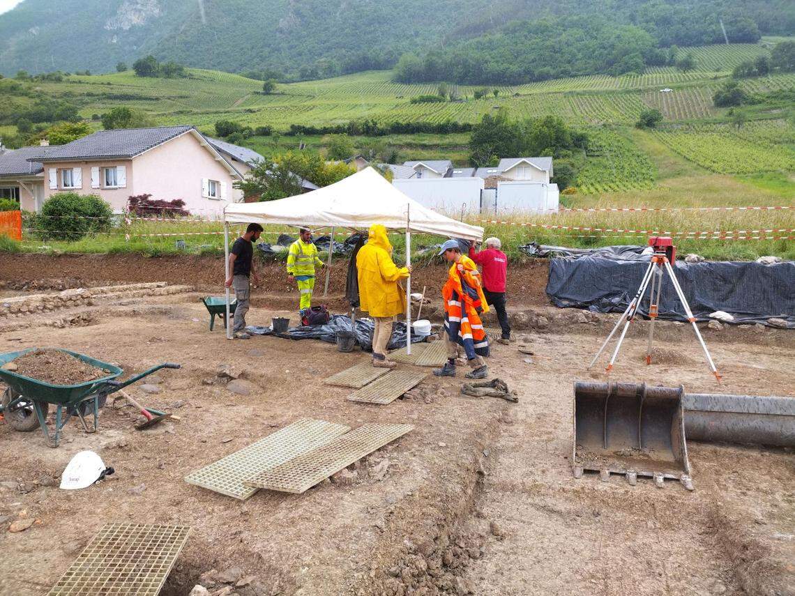 Stations for grape crushing and material movement were found at the winery.