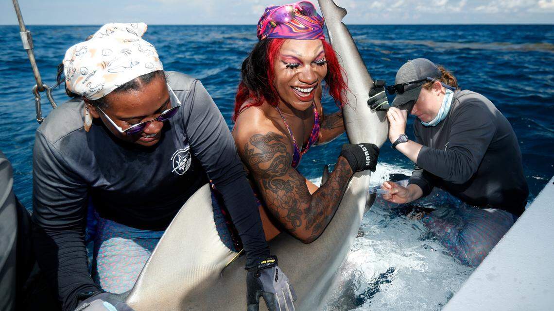 MIAMI, FL - SEPTEMBER 16: during Drag and Tag 2023 September 16, 2023 aboard the RV Garvin off the coast of Miami, Florida.