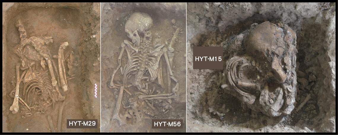 The tight skeletons left no open space, suggesting the soft tissue was gone at the time of burial.