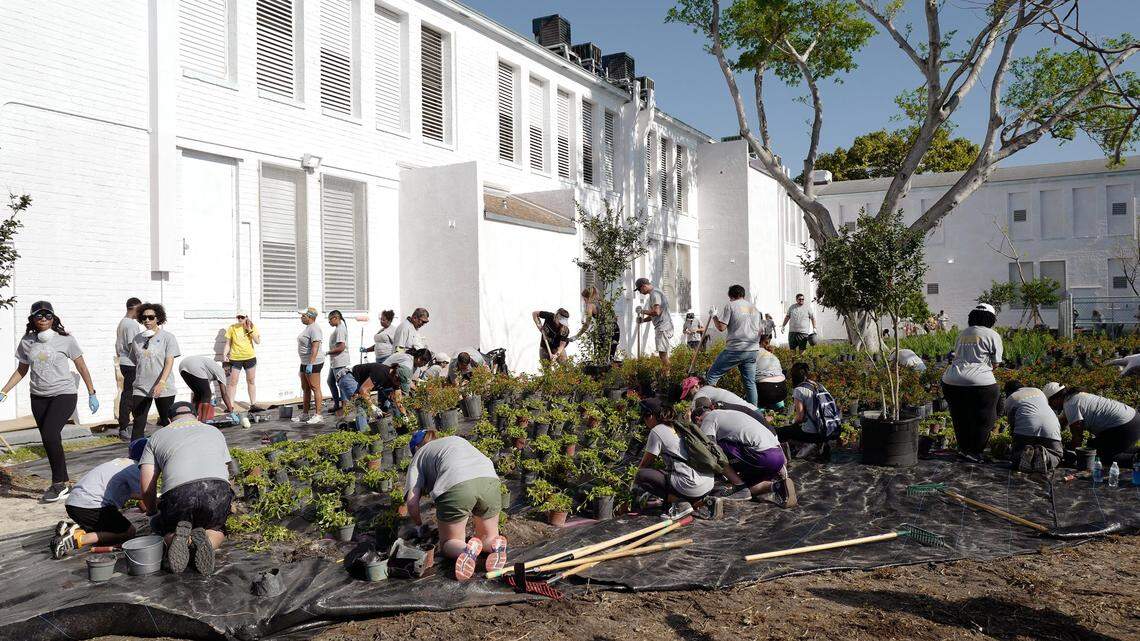 Volunteers work on a garden at Jesse J. McCrary Jr. Elementary School in Little Haiti, as part of Royal Caribbean Cruises' 21st annual Get Involved Volunteer Everywhere Day.