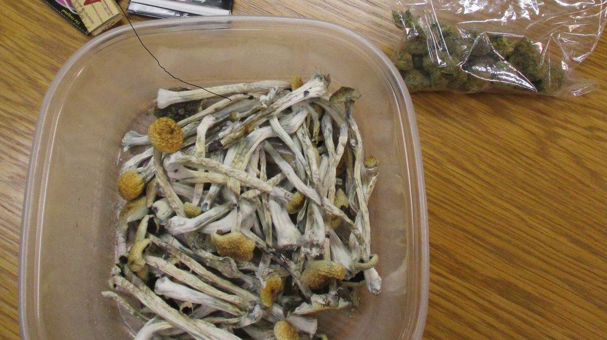 A Broward man was found with this stash of hallucinogenic mushrooms and marijuana, police said.