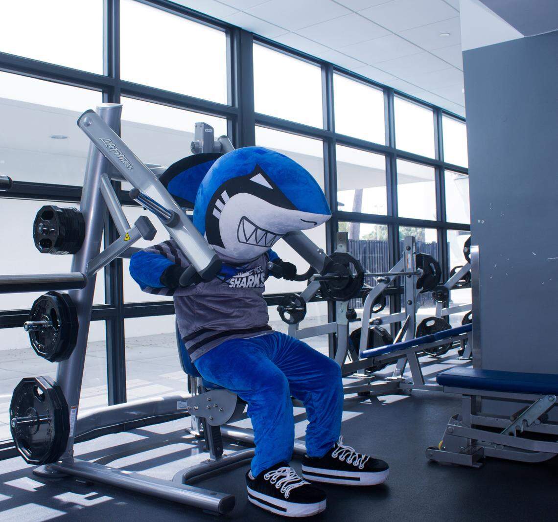 Finn working out at the gym.