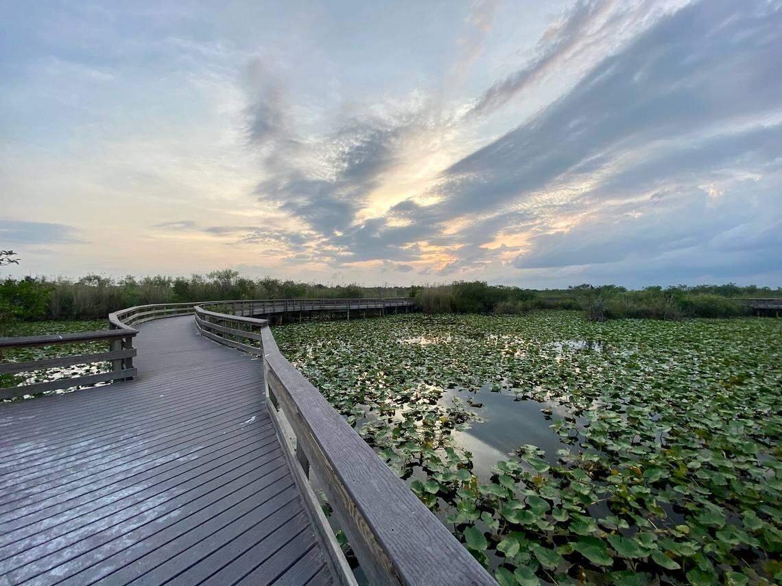 Everglades National Park is going to be hot, no lie. But a bit less crazy than the beach. Don’t forget the bug repellent.