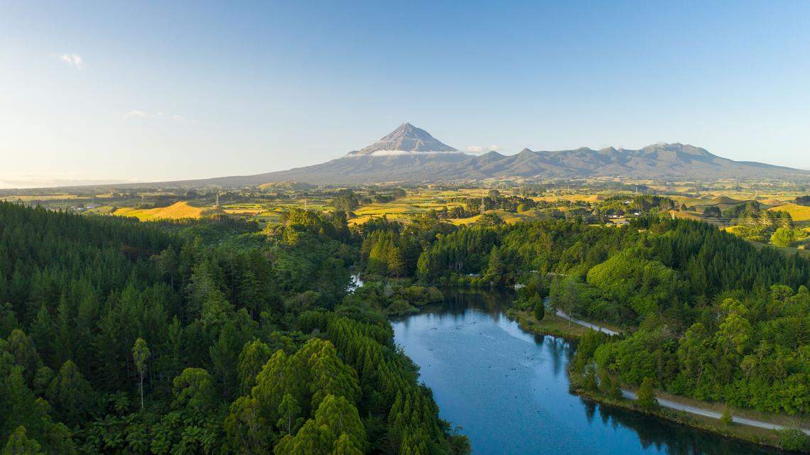 Te Papakura-o-Taranaki, a national park in New Zealand, was experiencing freezing temperatures when a visitor found puppies dumped on the side of the road.