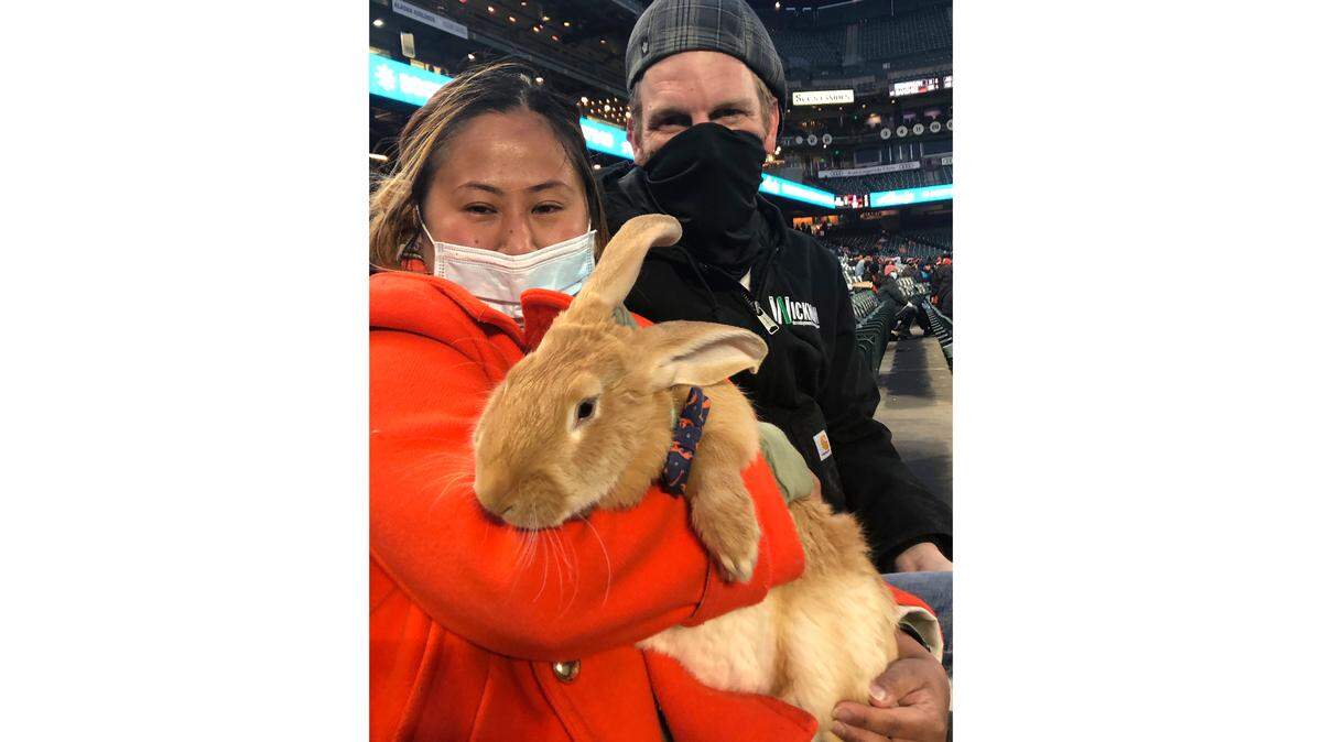 Kei Kato, left, and her fiance, Josh Row, hold a therapy bunny named Alex during a baseball game between the San Francisco Giants and the Miami Marlins in San Francisco, Thursday, April 22, 2021.