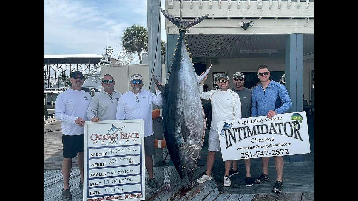 Once the fish was gutted, it weighed in at about 580 pounds, officials said.